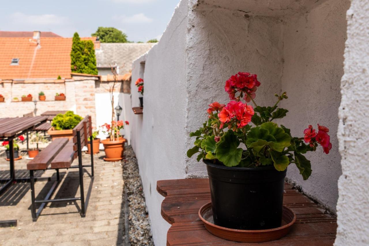 Fenyes Vinorium Bed and Breakfast Sopron Exteriör bild
