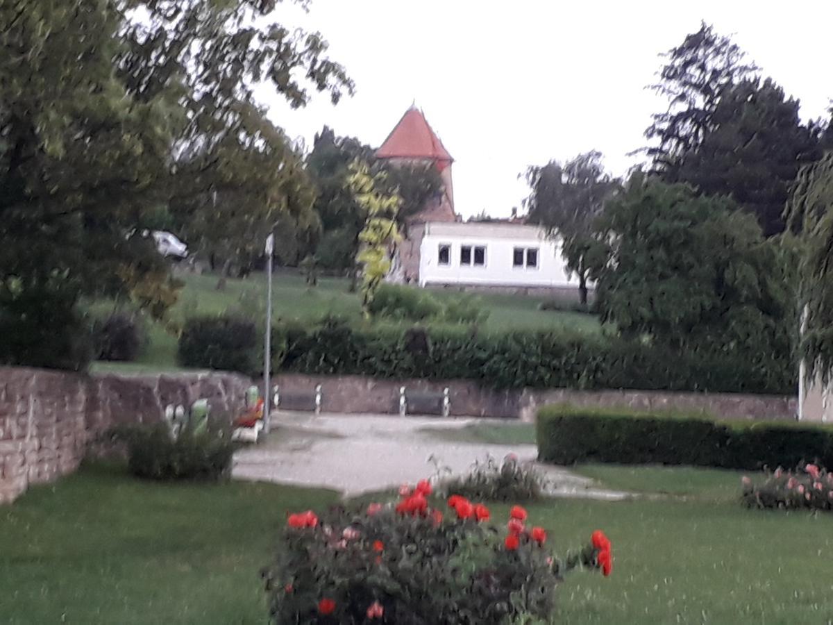 Fenyes Vinorium Bed and Breakfast Sopron Exteriör bild